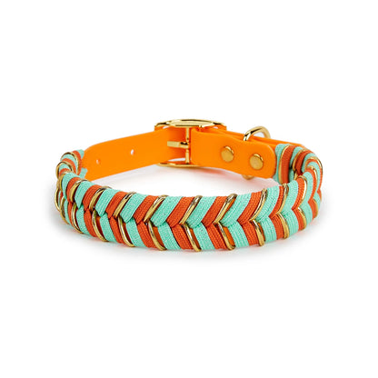 Collier tressé orange et bleu pour chien – tonus et originalité