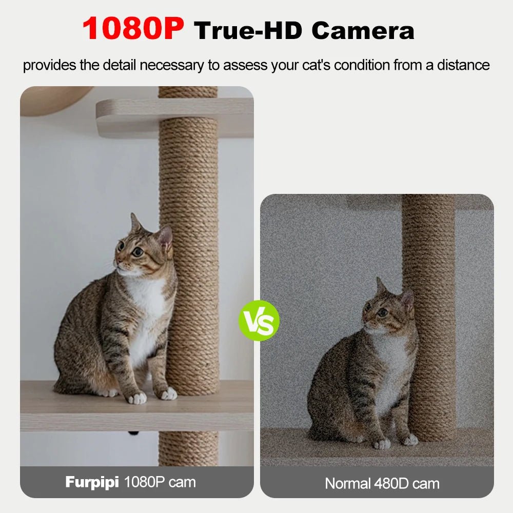Camera HD haute definition vision claire pour surveillance animaux