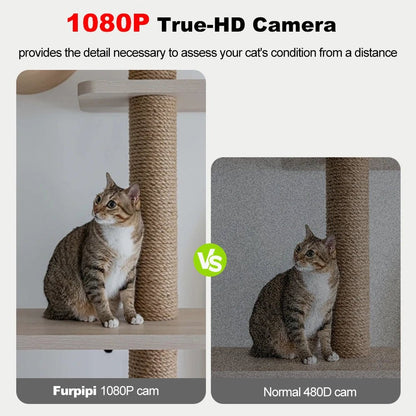 Camera HD haute definition vision claire pour surveillance animaux