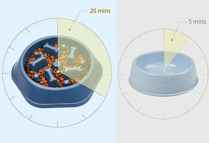 Différence de temps de repas entre gamelle normale et gamelle anti-glouton