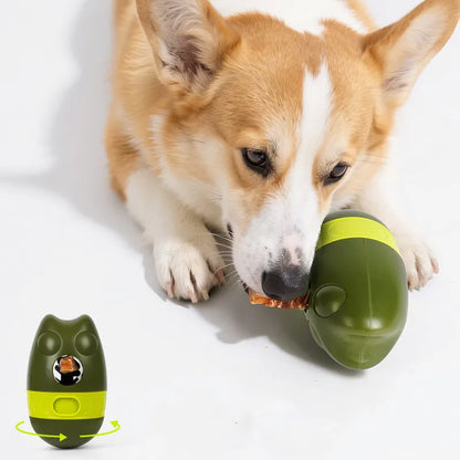 Un Corgi pousse le jouet avec son museau pour faire tomber les friandises.