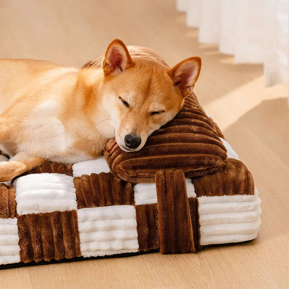 Chien profitant d’un coussin orthopédique pour chien en velours doux et rembourrage haute densité