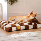 Coussin à mémoire de forme chien – confort orthopédique avec oreiller