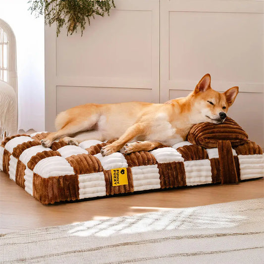 Chien allongé sur un coussin à mémoire de forme orthopédique pour chien avec oreiller intégré