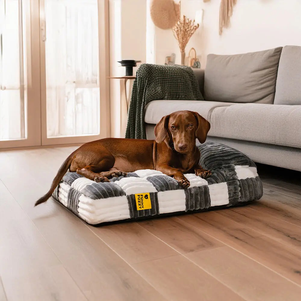 Démonstration d’un coussin pour chien orthopédique lavable en machine pour entretien facile