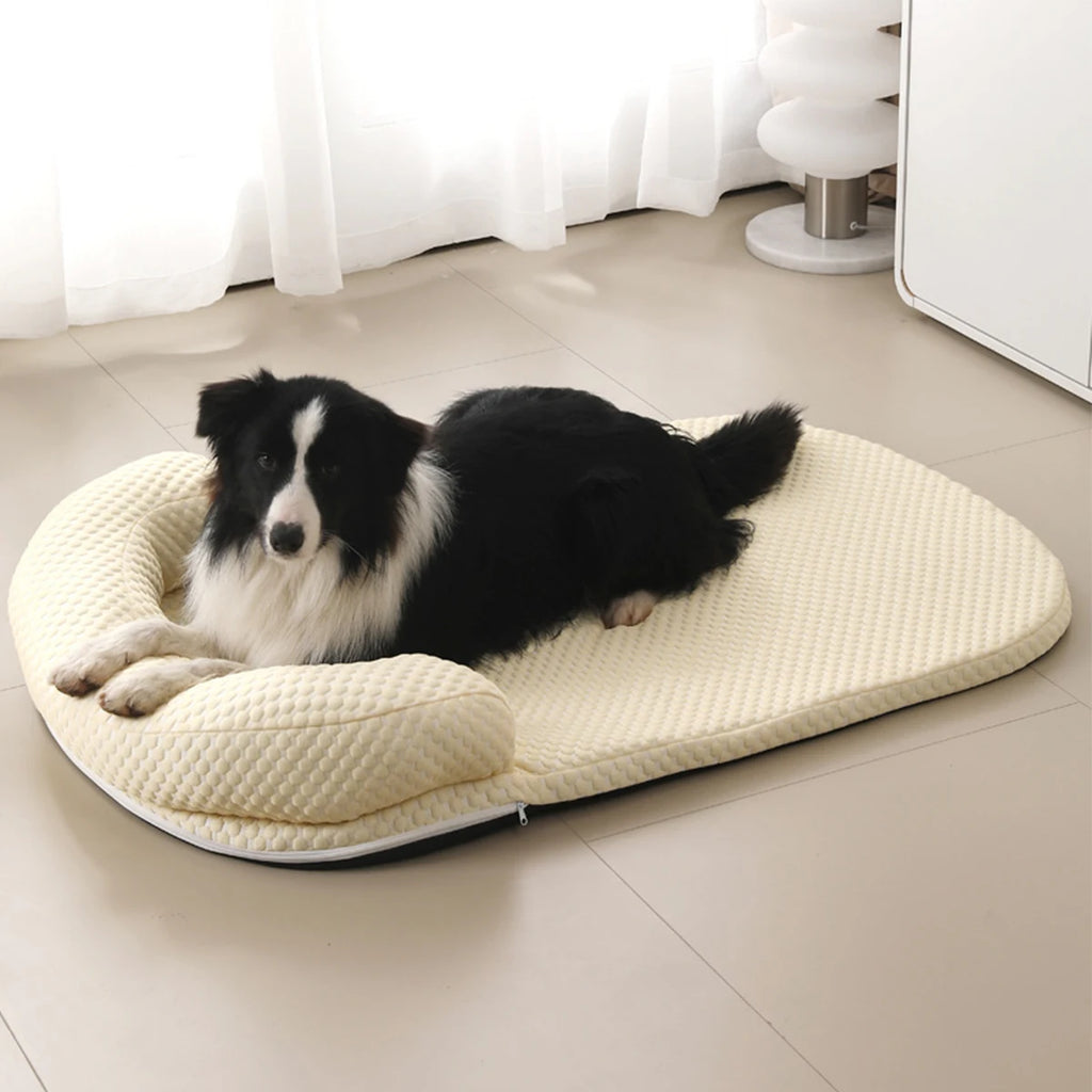 Chien installé sur un Coussin rafraîchissant jaune, doux et anti-dérapant