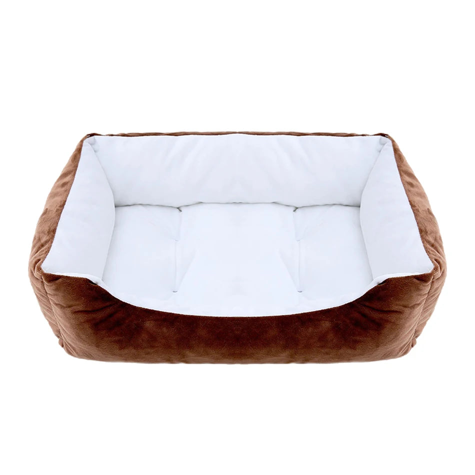 Coussin chien velours couleur marron et blanc