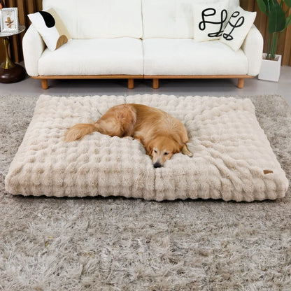 Chien allongé sur un grand coussin mémoire de forme beige dans un salon lumineux