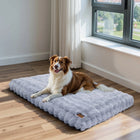 Large memory foam dog cushion – Comfort and orthopedic support 