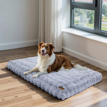 Chien moyen gabarit couché sur un coussin mémoire de forme gris dans une pièce lumineuse