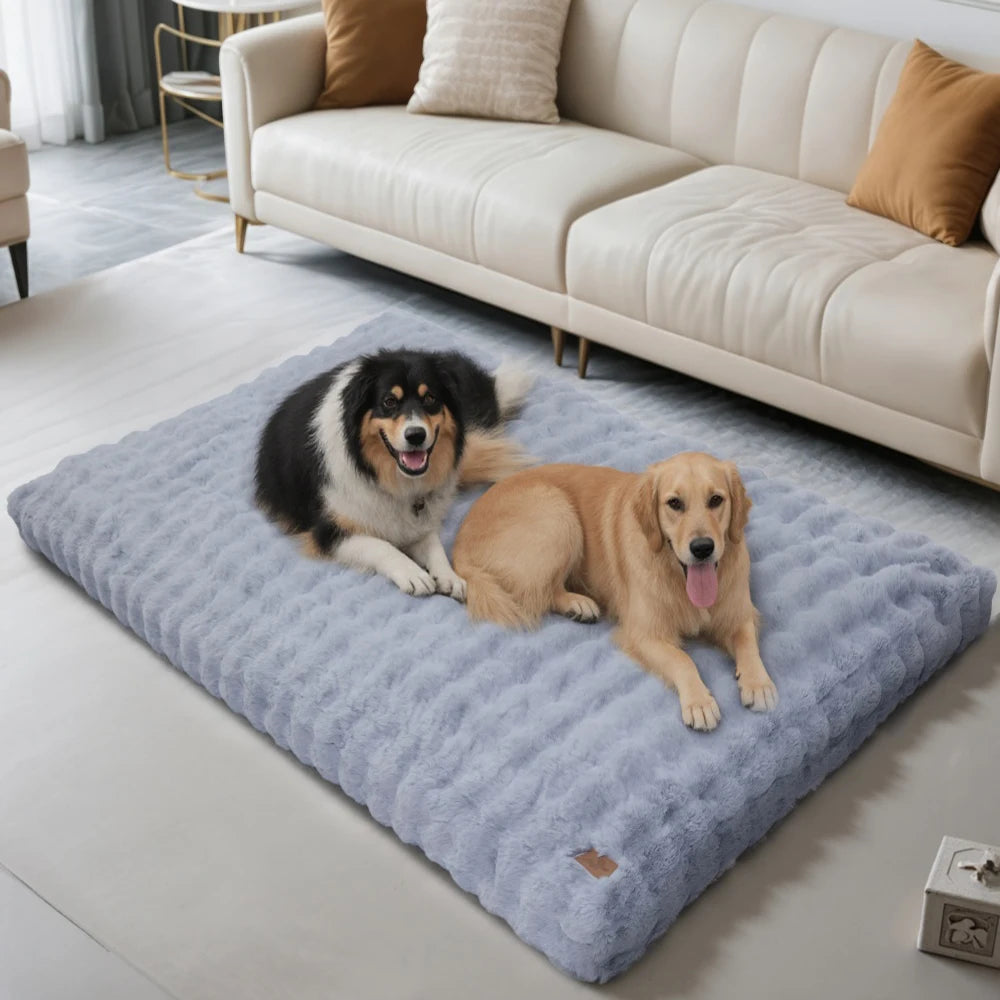 Chiens reposant sur un coussin mémoire de forme gris pour chien, confort et détente