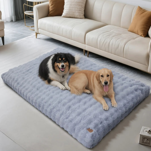 Chiens reposant sur un coussin mémoire de forme gris pour chien, confort et détente