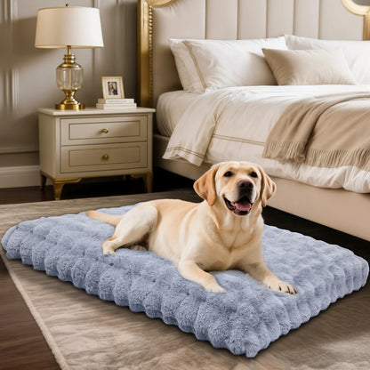 Golden retriever couché sur un grand coussin mémoire de forme gris dans une chambre élégante