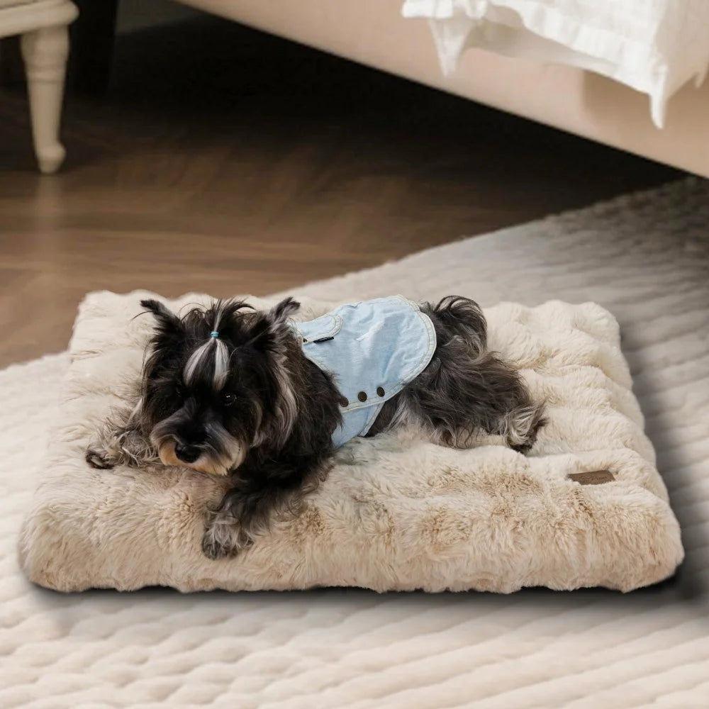 Petit chien noir installé confortablement sur un coussin mémoire de forme gris