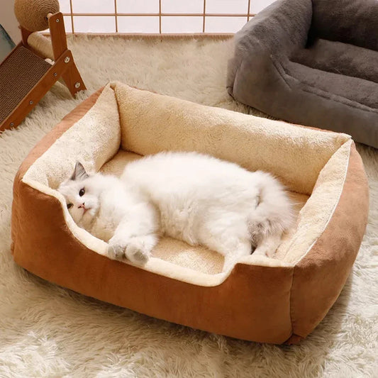 chat couche sur coussin en peluche beige pour chien ou chat, forme panier
