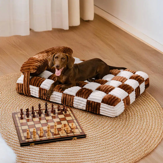 Petit chien allongé sur coussin à mémoire de forme chien avec design damier moderne