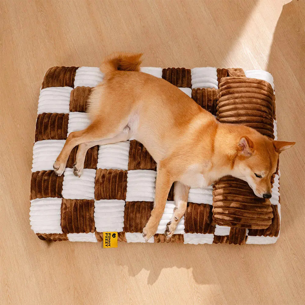 Chien reposant confortablement sur un coussin à mémoire de forme avec soutien ergonomique