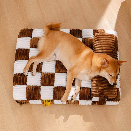 Chien reposant confortablement sur un coussin à mémoire de forme avec soutien ergonomique
