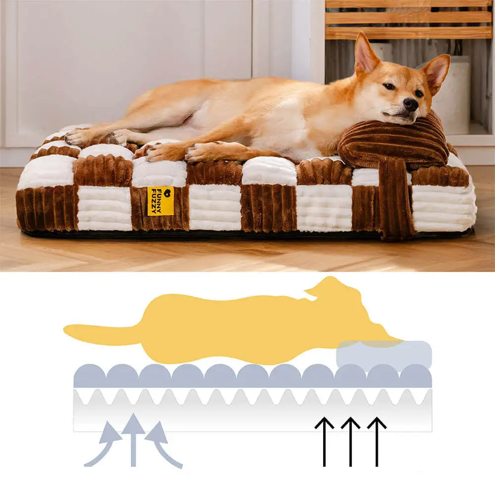 Deux chiens reposant ensemble sur un coussin à mémoire de forme pour chien avec surface douce