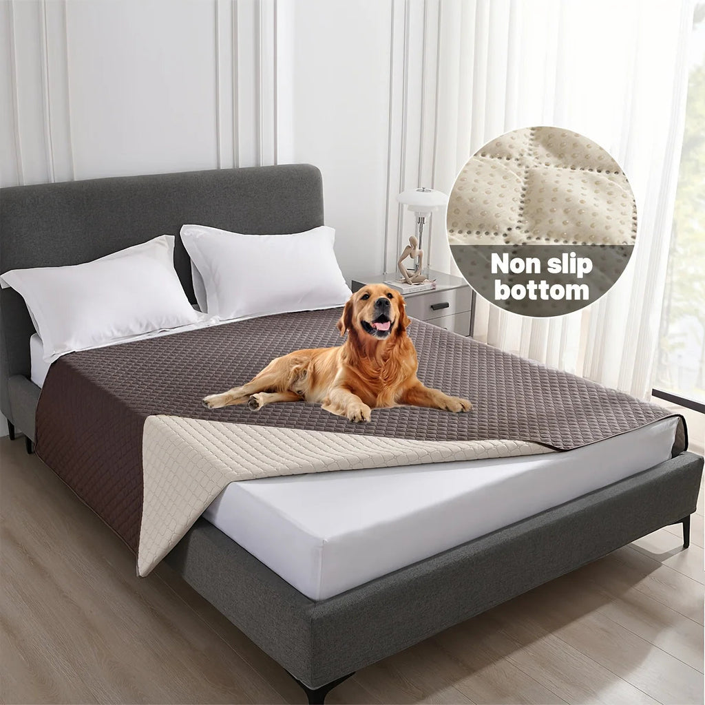 Housse de lit etanche avec chien couche, parfaite pour interieur moderne