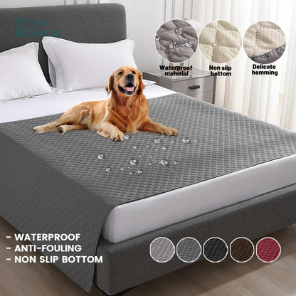 Chien allonge sur couverture impermeable grise pour lit ou canape, antiderapante et lavable
