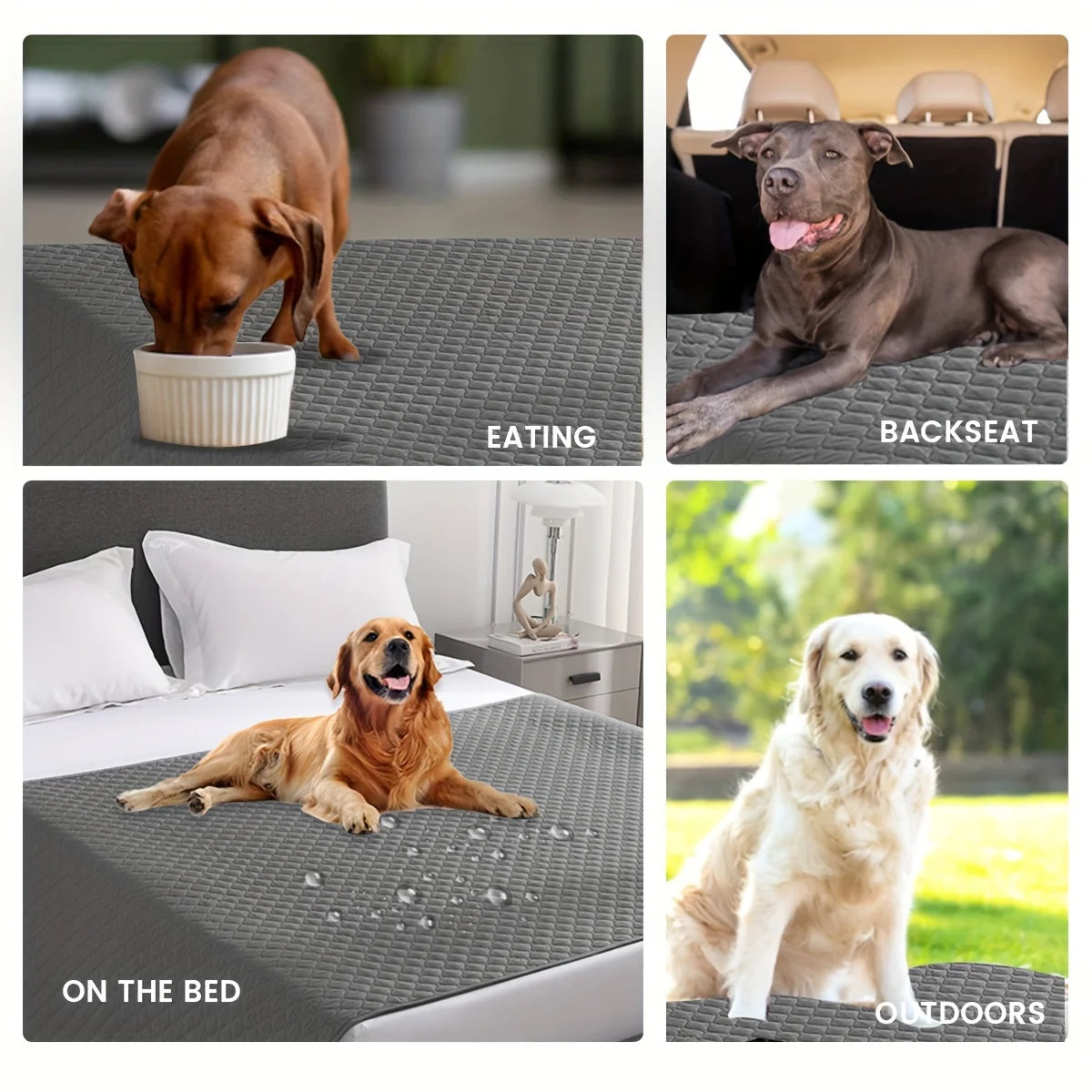 Chien utilisant une couverture etanche sur lit, canape ou pelouse