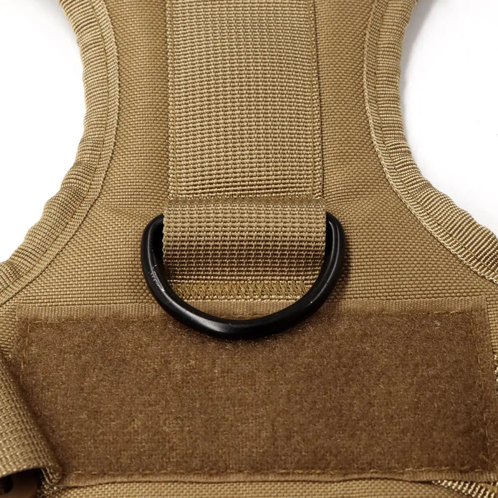 Détail boucle Harnais avec scratch