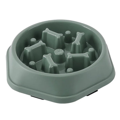 Lot gamelle anti-glouton couleur verte et bleue, chien petit ou moyen