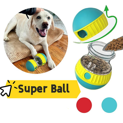 Un chien tient sous sa patte un distributeur interactif de friandises. 