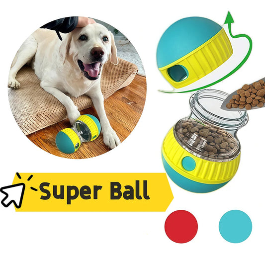 Un chien tient sous sa patte un distributeur interactif de friandises. 