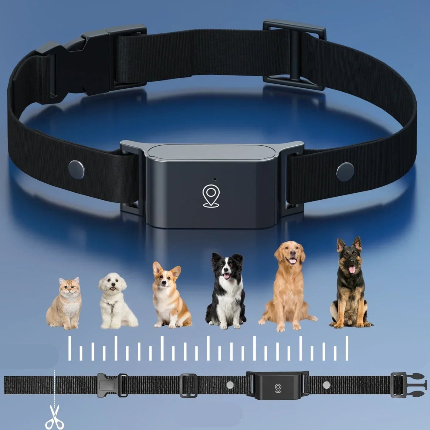 Ce collier GPS pour chien et se coupe en fonction des besoins il est donc adaptable à toutes les tailles de chiens, les grands et les petits. 