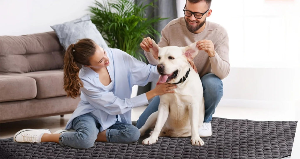 Moment en famille avec couverture imperméable antidérapante pour animal