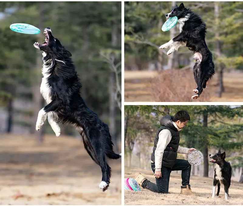 Frisbee  anti dérapant pour chien volant dans les airs  et avec homme à genoux qui joue avec lui