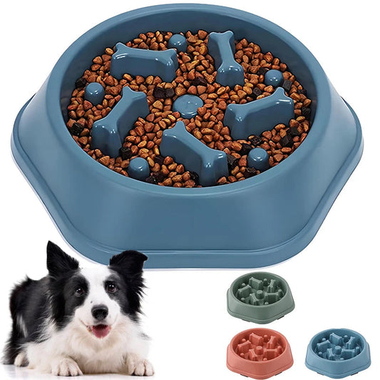 Gamelle slow feeder bleue remplie de croquettes pour ralentir l'alimentation du chien
