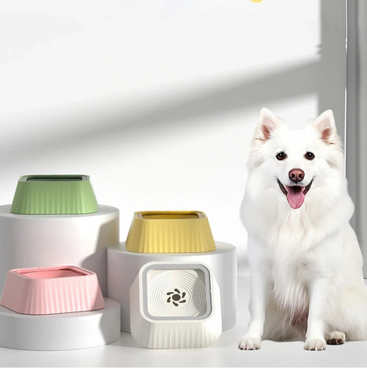 Gamelles design anti eclaboussures pour chien et chat plusieurs coloris