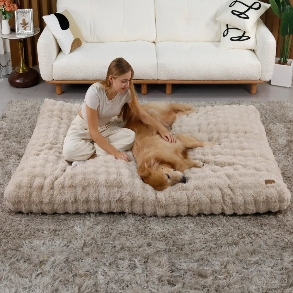 Deux chiens jouant et se reposant sur un coussin mémoire de forme beige grande taille