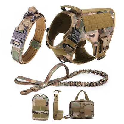 Harnais avec ensemble complet laisse + collier + accessoires camoufflage