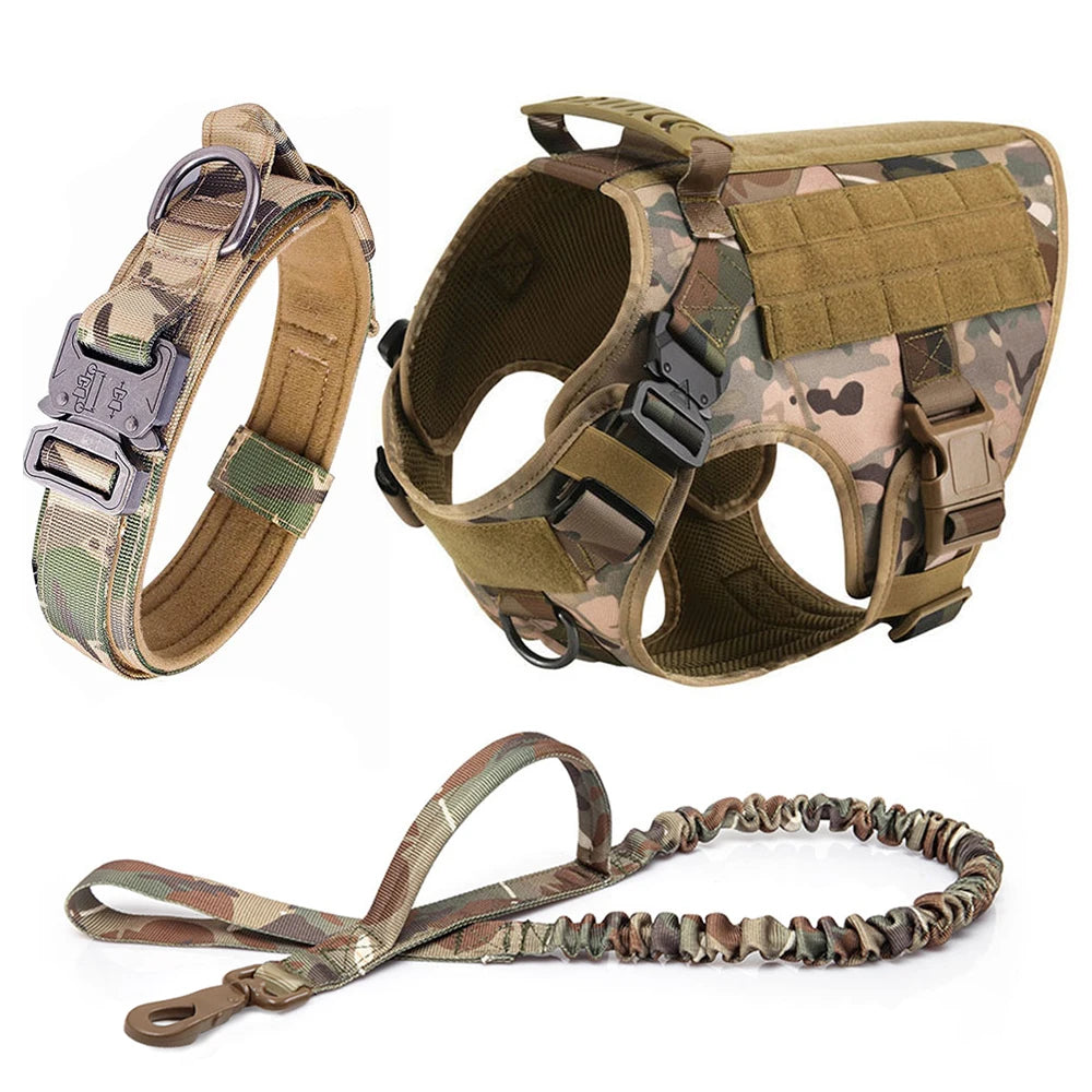 Harnais camouflage avec ensemble laisse + collier 