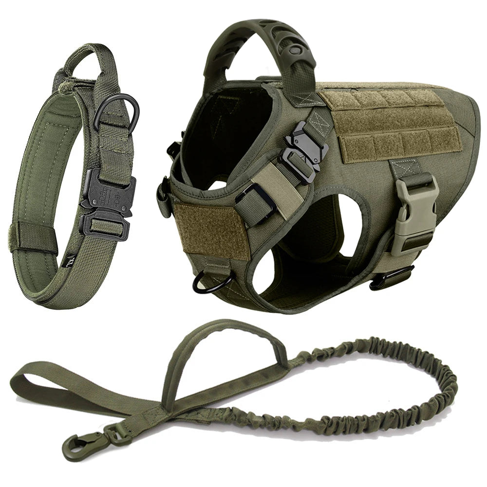 Harnais vert kaki avec laisse et collier unis