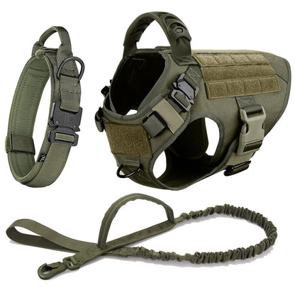 Harnais vert kaki avec laisse et collier unis
