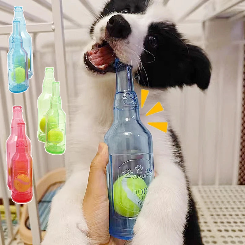Jouet chien bouteille balle de tennis bleu vert ou rouge