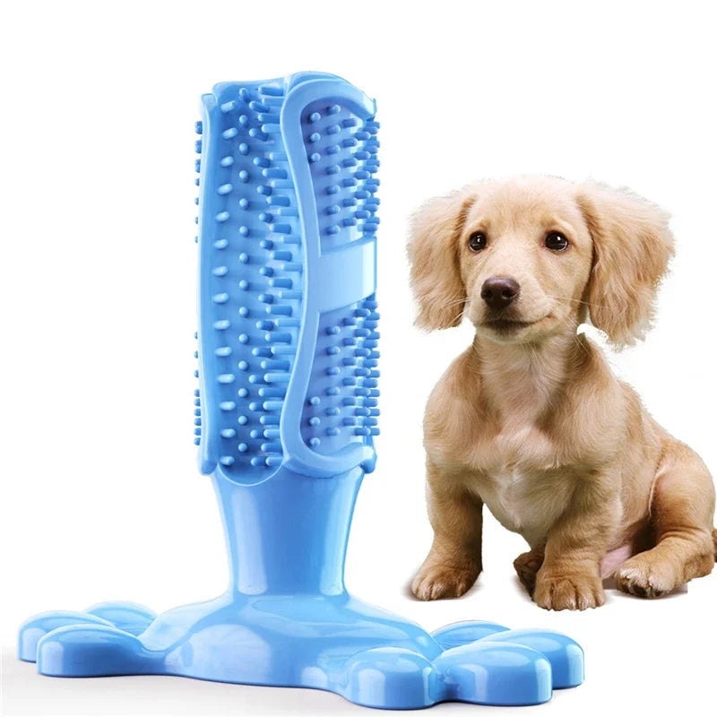 Jouet dentaire en caoutchouc pour chiot, brosse à dents ludique et nettoyante