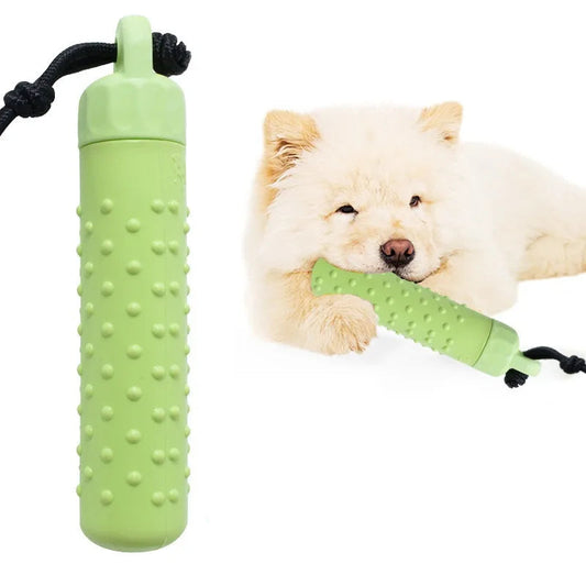 Chiot blanc jouant avec un jouet flottant vert pour chien avec corde