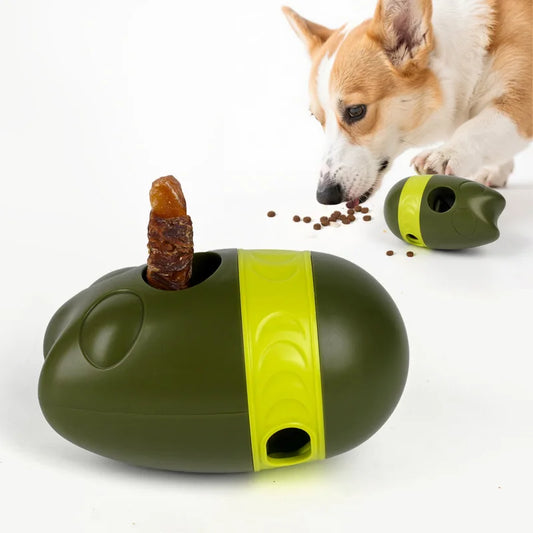 Un chien Corgi joue avec un jouet distributeur vert contenant un bâtonnet à mâcher.