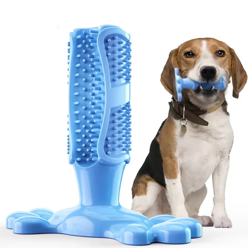 Jouet hygiène dentaire vert pour chien