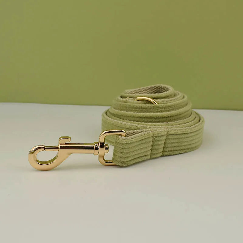 laisse assortie au collier personnalisé pour chien vert, solide et élégante, avec mousqueton métal doré
Doux et confortable pour les chiens