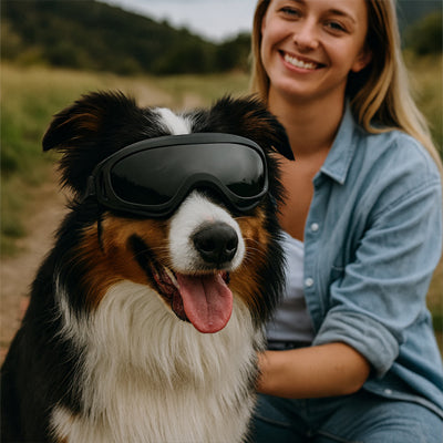 Chien portant des lunettes noires pour chien assis à côté de sa maîtresse