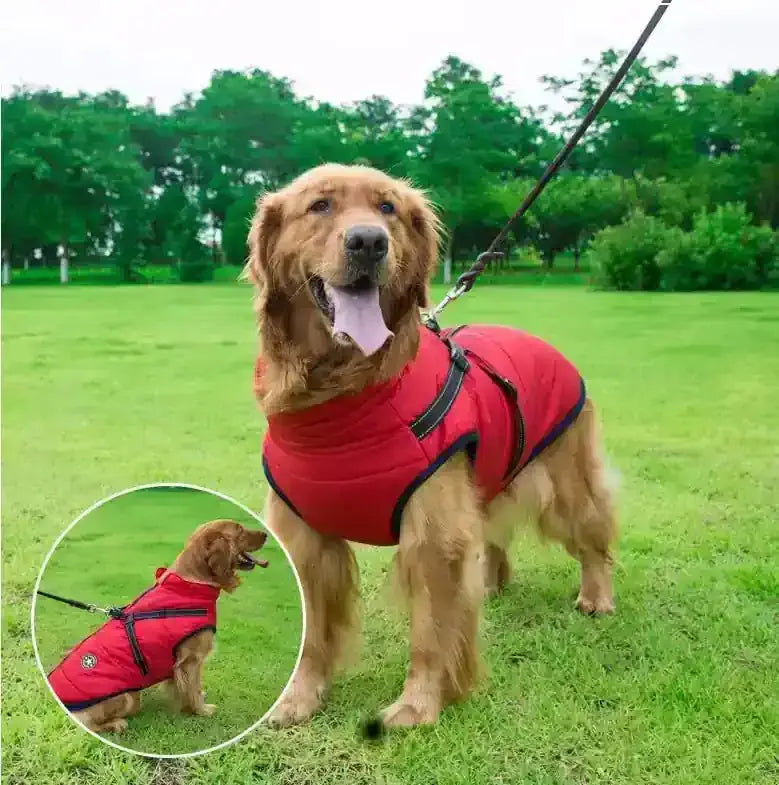 Manteau d'hiver chaud et imperméable pour chien avec harnais intégré - Veste en polaire pour petits et grands chiens | Noble Truffe - Noble Truffe
