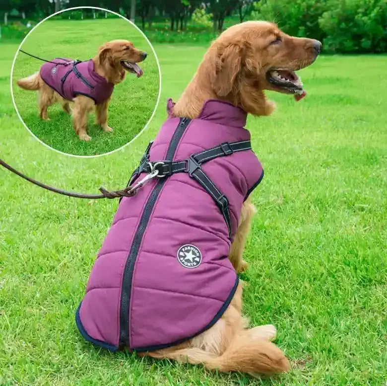 Manteau d'hiver chaud et imperméable pour chien avec harnais intégré - Veste en polaire pour petits et grands chiens | Noble Truffe - Noble Truffe