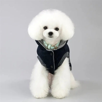 Manteau pour chien de petite taille - Doudoune hiver à capuche | Noble Truffe - Noble Truffe